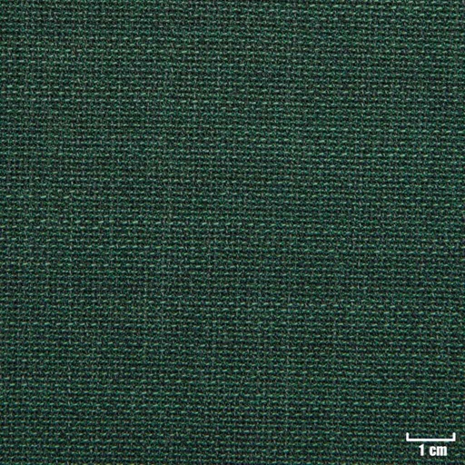 [225022] GREEN, HOPSACK