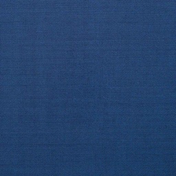 [224402] BLUE, PLAIN