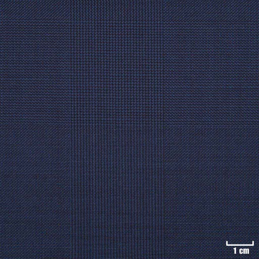 [225115] BLUE, CHECKS