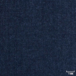 [225237] BLUE, DOTTED PATTERN