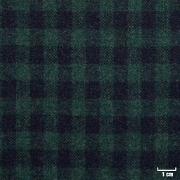 [223031] GREEN, SMALL CHECKS