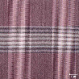 [225802] RED, WHITE CHECKS