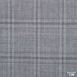 [225815] GREY, CHECKS
