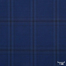 [225816] BLUE, CHECKS