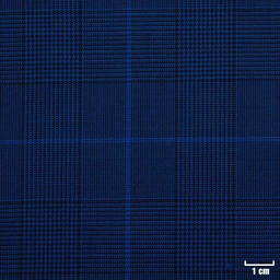 [223504] BLUE, CHECKS