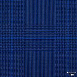 [223505] BLUE, CHECKS