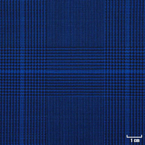 [223505] BLUE, CHECKS