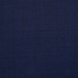 [225531] BLUE, PLAIN