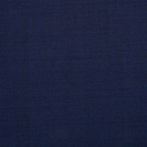 [225531] BLUE, PLAIN