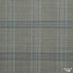 [501314] GREY, BLUE CHECKS