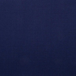 [501169] BLUE, PLAIN