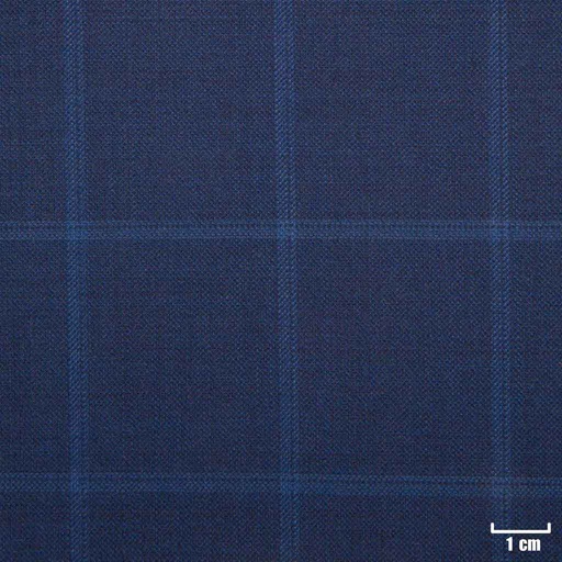 [501325] BLUE, CHECKS