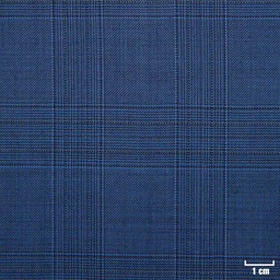 [501308] BLUE, WHITE CHECKS
