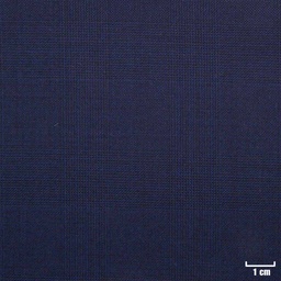 [501340] BLUE, CHECKS