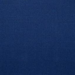 [501168] BLUE, PLAIN