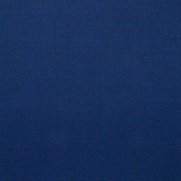 [501168] BLUE, PLAIN