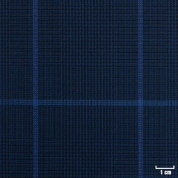 [224306] BLUE, CHECKS