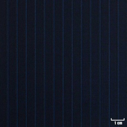 [224317] BLUE, STRIPES