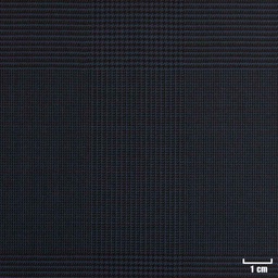 [224329] BLUE, BLACK CHECKS