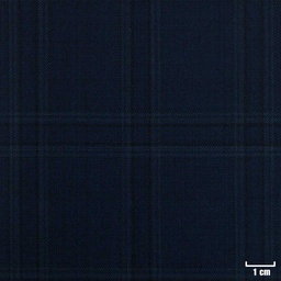 [224334] BLUE, CHECKS