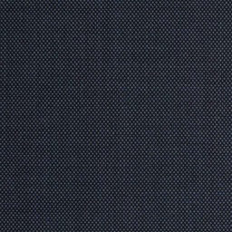 [226351] BLUE, BIRDEYE