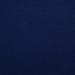 [501372] BLUE, PLAIN
