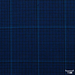 [271302] BLUE, CHECKS