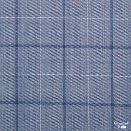 [271305] BLUE, CHECKS