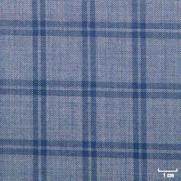 [271304] BLUE, CHECKS