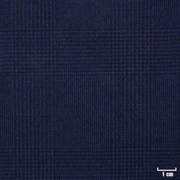 [822104] BLUE, CHECKS