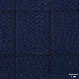 [822109] BLUE, BLACK CHECKS