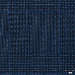 [822506] BLUE, BIG CHECKS
