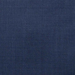 [224405] BLUE, PLAIN