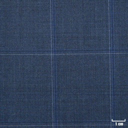 [226133] BLUE, BLUE/WHITE CHECKS