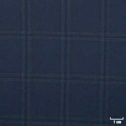 [822617] BLUE, CHECKS