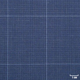[501612] BLUE, CHECKS