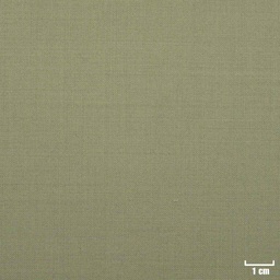 [501751] TAN, PLAIN