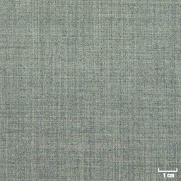 [501733] LIGHT GREY, PLAIN