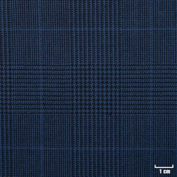 [822613] BLUE, CHECKS