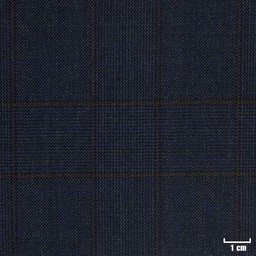[822004] BLUE, BROWN CHECKS