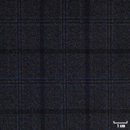 [822008] BLUE, CHECKS