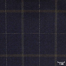 [822009] BLUE, CHECKS