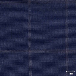 [822018] BLUE, CHECKS
