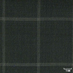 [822019] GREEN, CHECKS