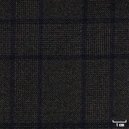 [822026] BROWN, BLUE CHECKS