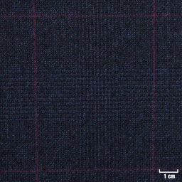 [822409] BLUE, PURPLE CHECKS