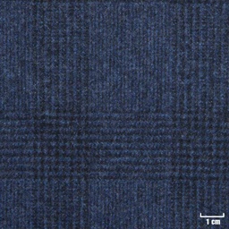 [822435] BLUE, CHECKS