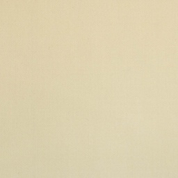 [822421] OFF WHITE, PLAIN