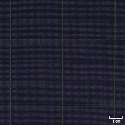 [226861] BLUE, GREEN CHECKS