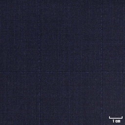 [227102] BLUE, BLUE CHECKS